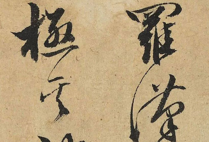 張雨，博學多聞，善談名理，年二十余棄家為道士